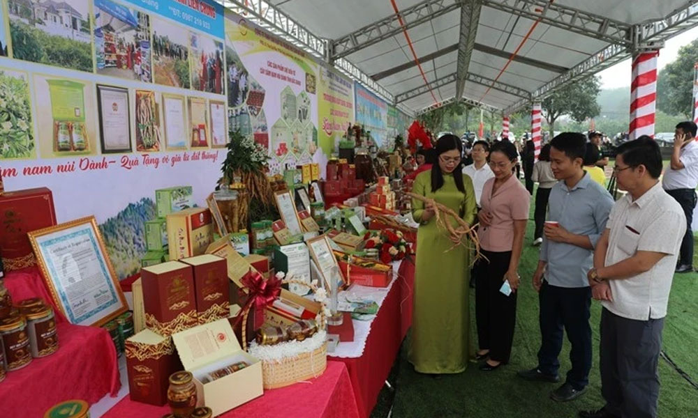 Conference promotes consumption of Danh mountain ginseng products
